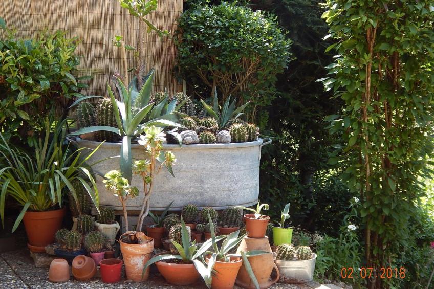 Haus Wiesental - foto 11