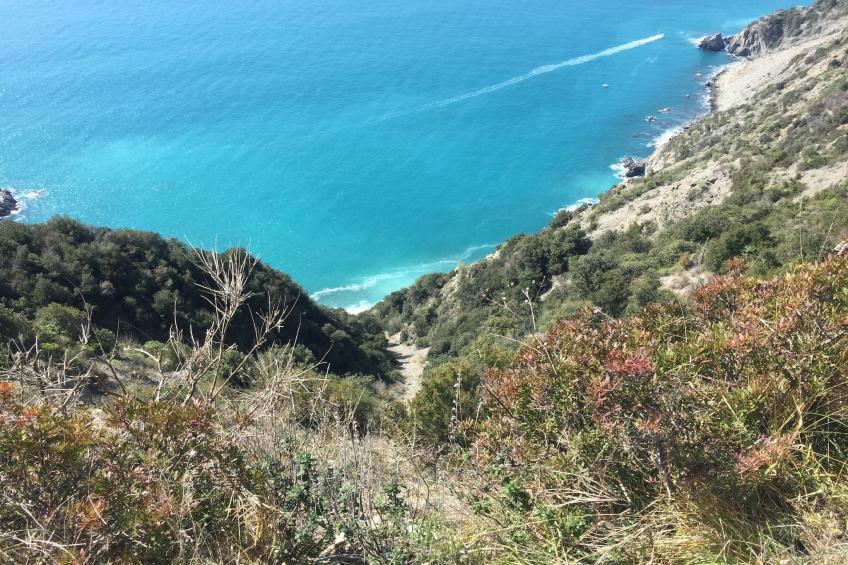 L'Altra Scogliera - foto 2
