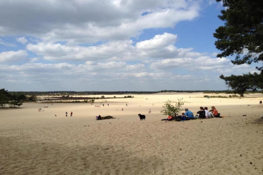 Recreatiepark Duinhoeve 12 - foto 38