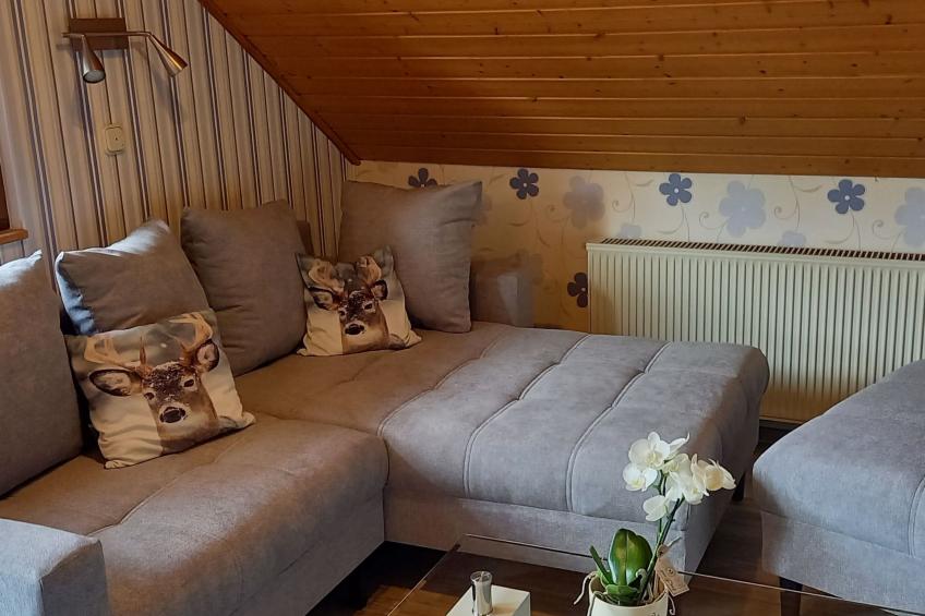 Tolle Wohnung in Hilders mit Eigenem Balkon - foto 16