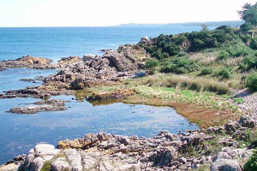 "Folki" - 300m from the sea - foto 4