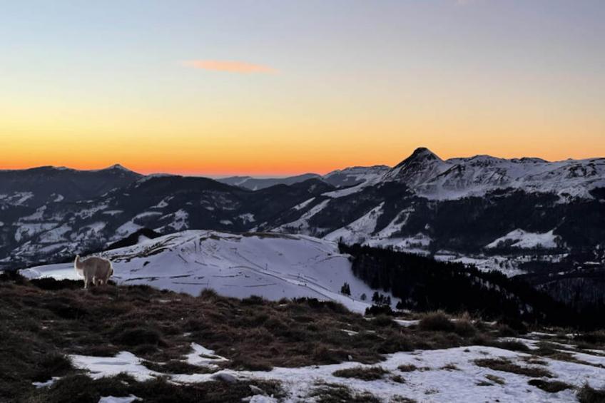 Appartements à Le Lioran - foto 22