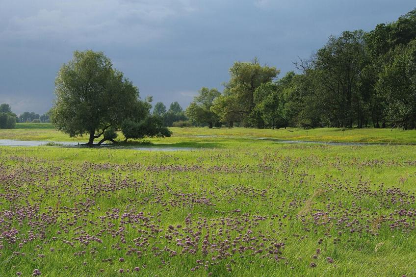 Jeamai’s Pension - foto 22