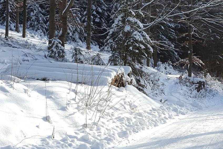 Komfortwohnung - foto 37