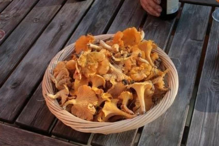 am See Skagern - foto 9