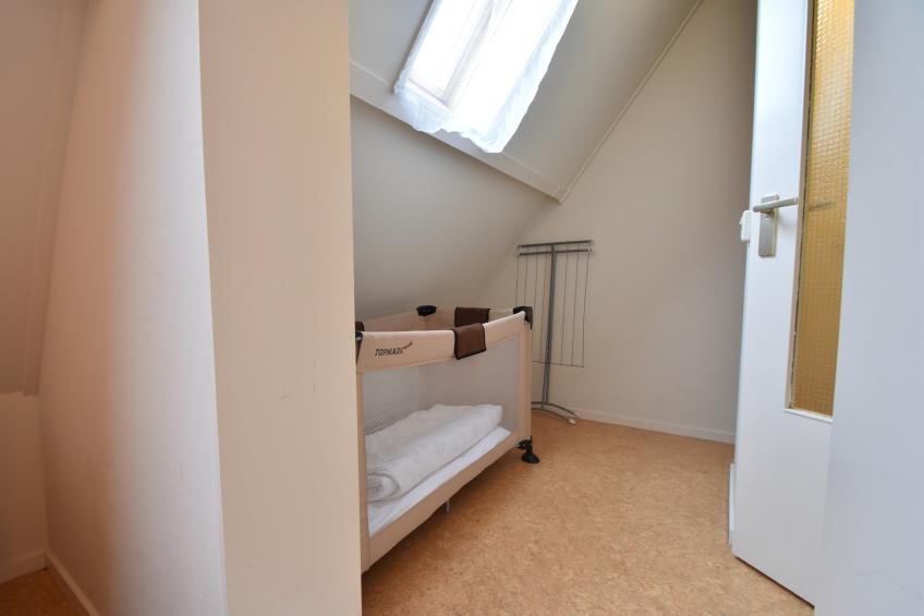Tijgeroog - foto 24