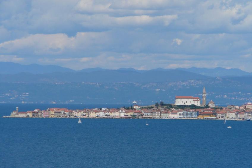 Villa del Golfo, Apartement mit Garten und Pool - foto 42