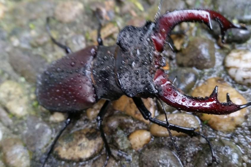 Ferienvilla mit eigener Sauna - foto 42