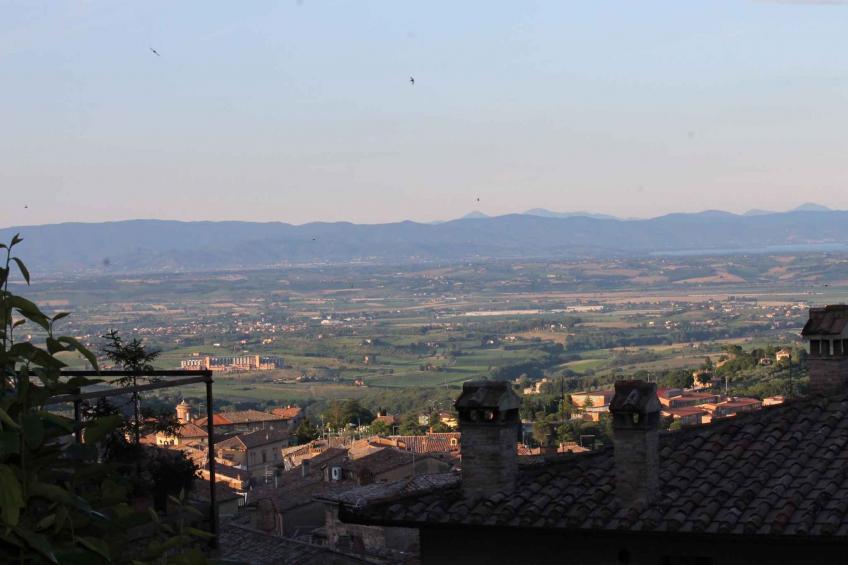 Vakantiewoning met uitzicht op het Toscaanse land - VW-TJVH - foto 5