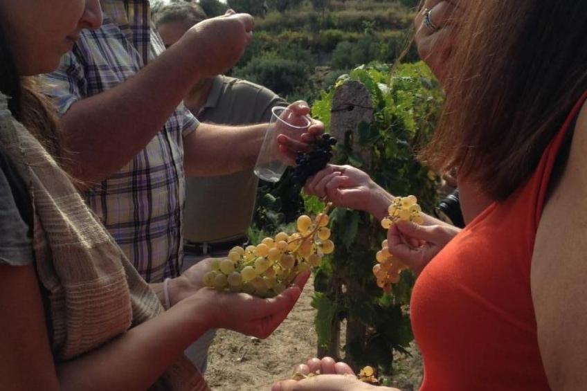 Wohnung in Badolato mit Terrasse - foto 31