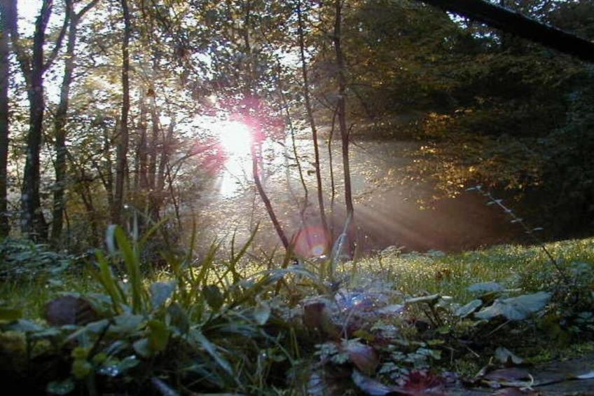 Pilmeroth 20 - foto 32