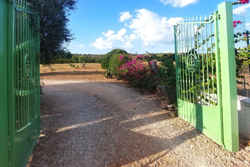 Villa Lona - foto 32