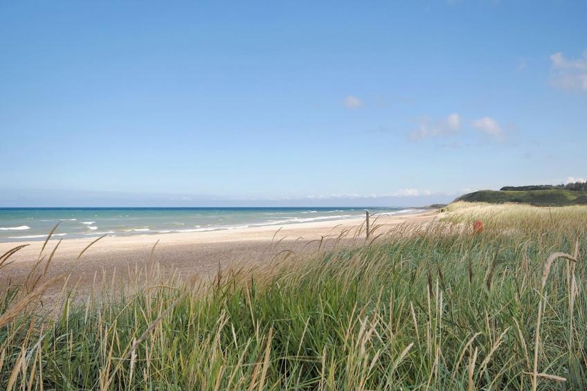 "Oberon" - 3km from the sea in NW Jutland - foto 26