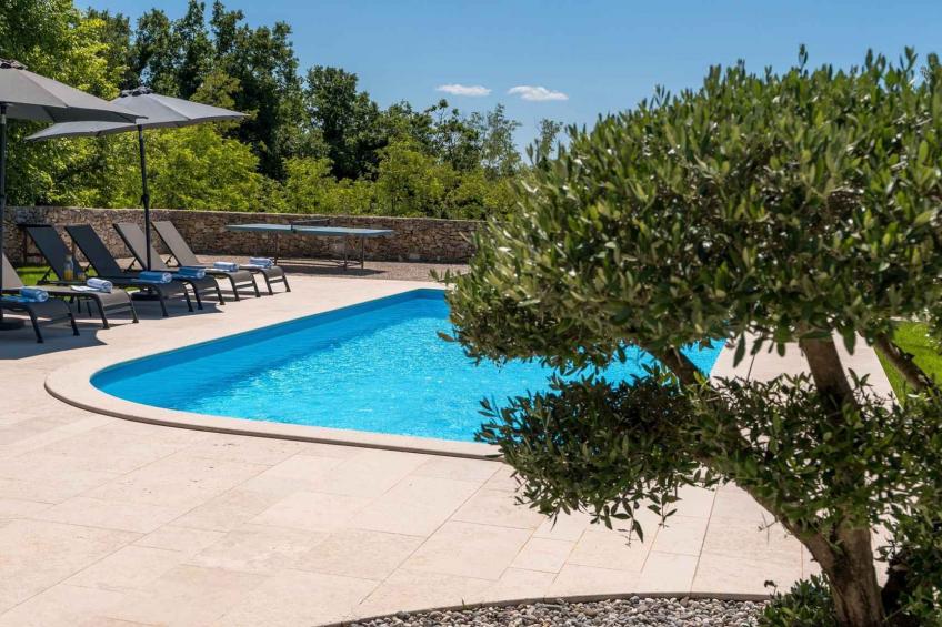 Villa avec climatisation et piscine - BF-RN8DF - foto 30