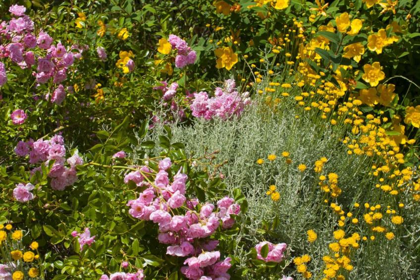 Wohnung in Figline Valdarno mit Gemeinschaftspool - foto 30