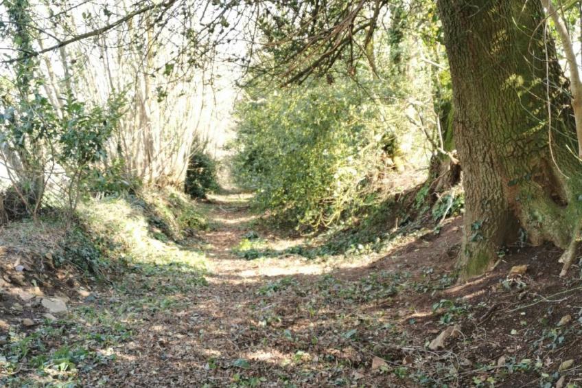 Pleine Nature in der Bretagne - foto 46