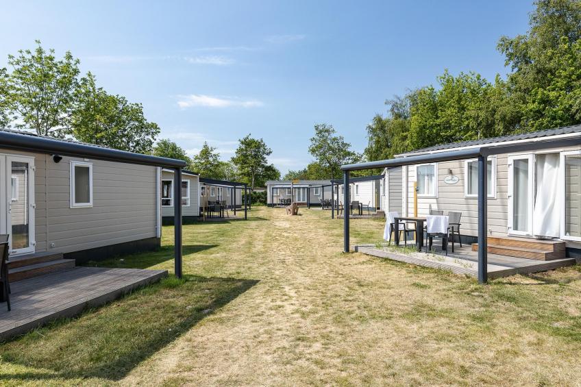 Duinhoeve Chalet Vogel - Huisdier niet toegestaan - foto 37