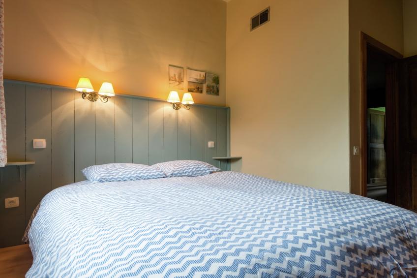 Red Hazels - foto 17