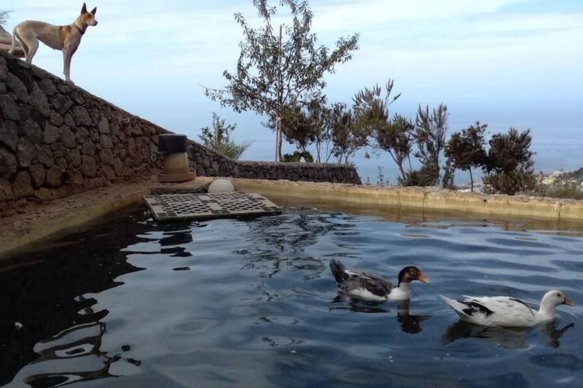 Finca "Sunny Scape Rural - foto 41