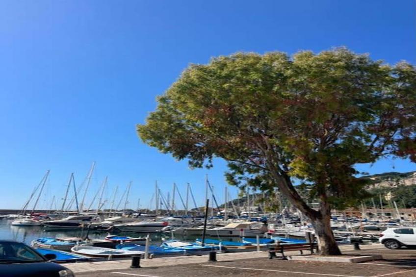 Palais Rossini - foto 38