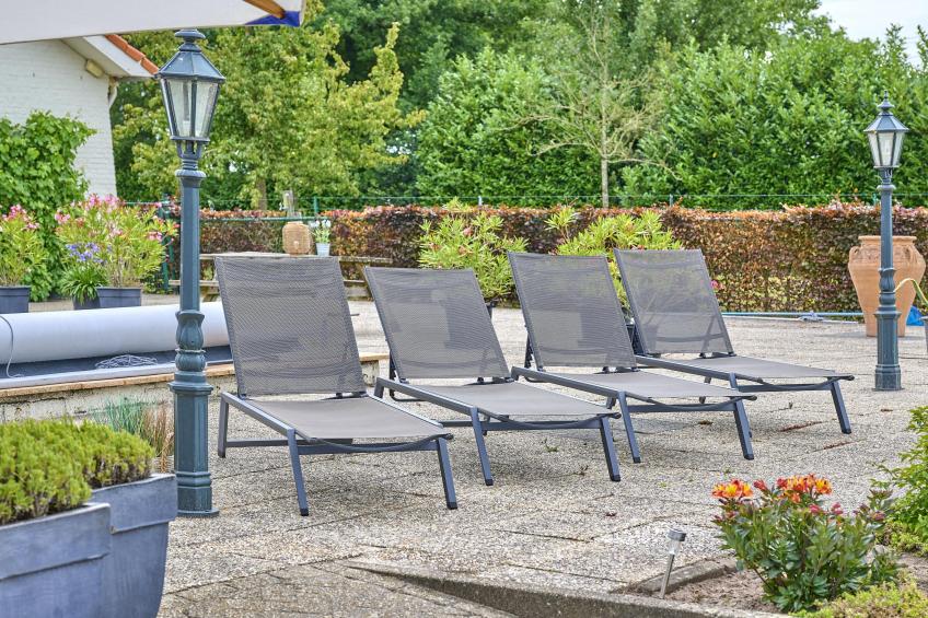 De Vrije Vogel - foto 35