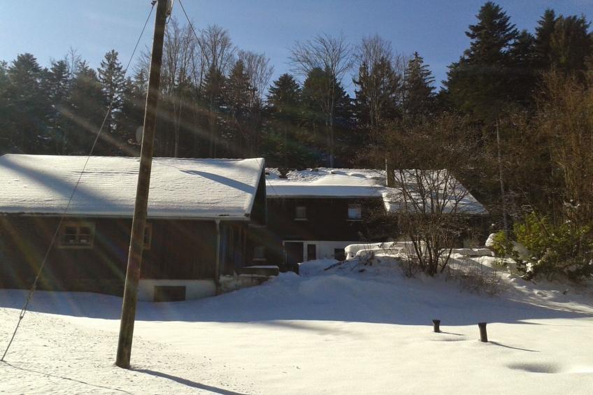 Quellenhof Kollnburg - foto 3