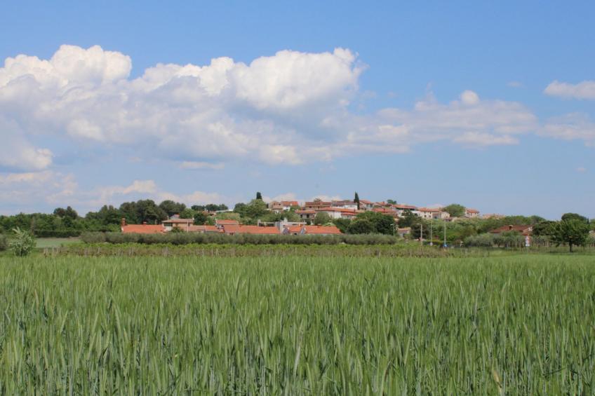 Villa Neela / HR-11039-01 - foto 5