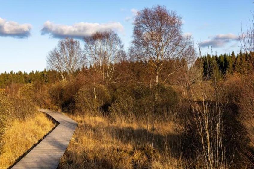 Der Lebendige Garten - foto 34