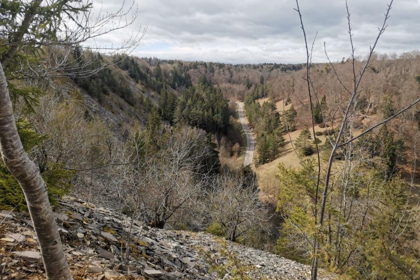 Haus Talblick, am Waldrand - foto 16