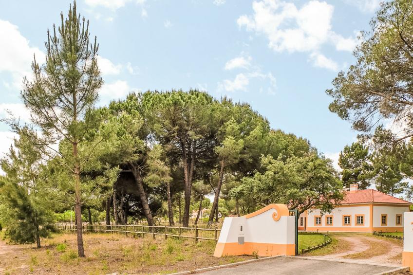 Villa dos Sobreiros - foto 40