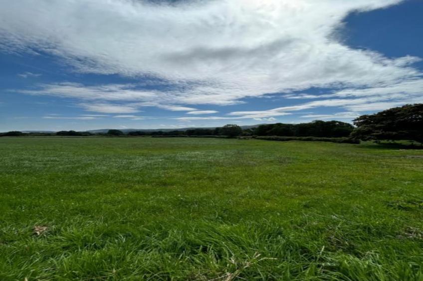 Netley Hall - Peach Tree - foto 33