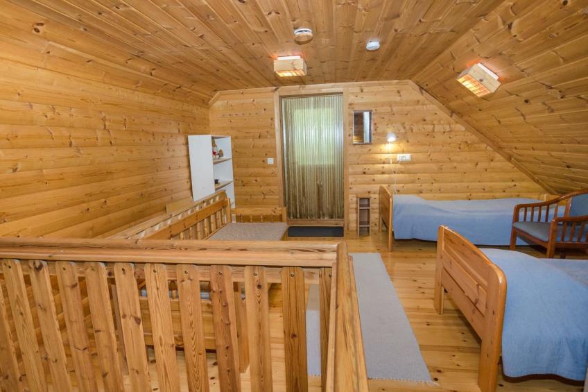 Koli, cjoe069 kissankello - foto 16