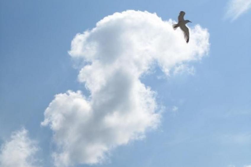 Meerestraum - foto 35