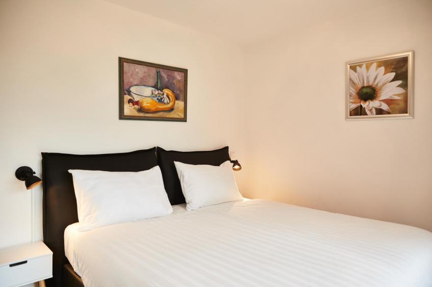 Luxery Salzkammergut Apartment A - foto 15