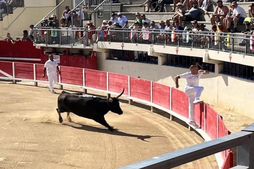 CAP CAMARGUE B N°28 - 2P4 - foto 28