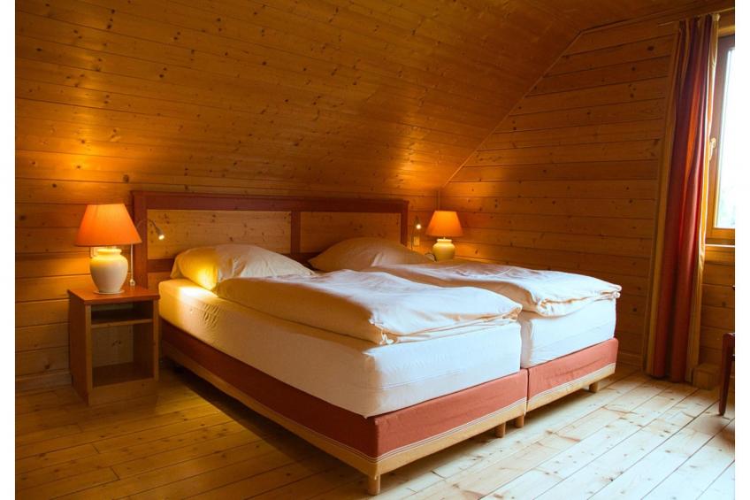 Ferienhaus in Hasselfelde - Haus 601 Auerhahn - foto 5