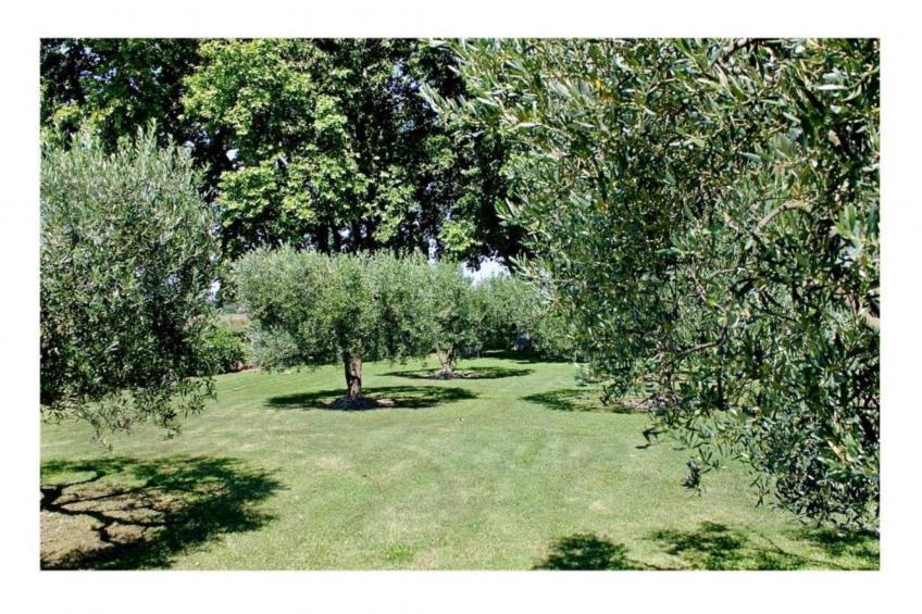 Maison de vacances - TANNAY - foto 39