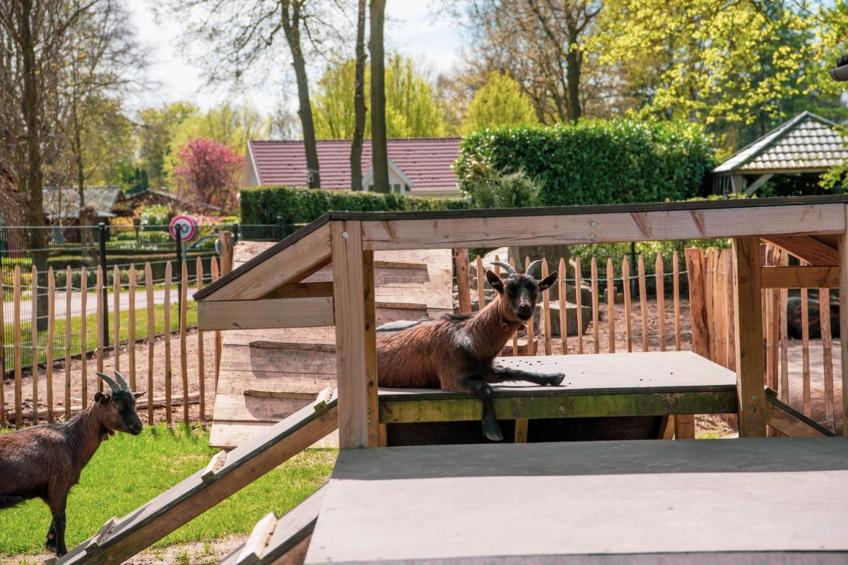 Landgoed Ruighenrode - foto 47