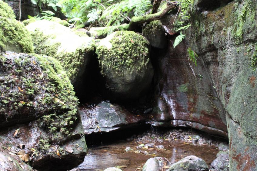 in Monte Breñas mit Grill, Terrasse und Garten - foto 37