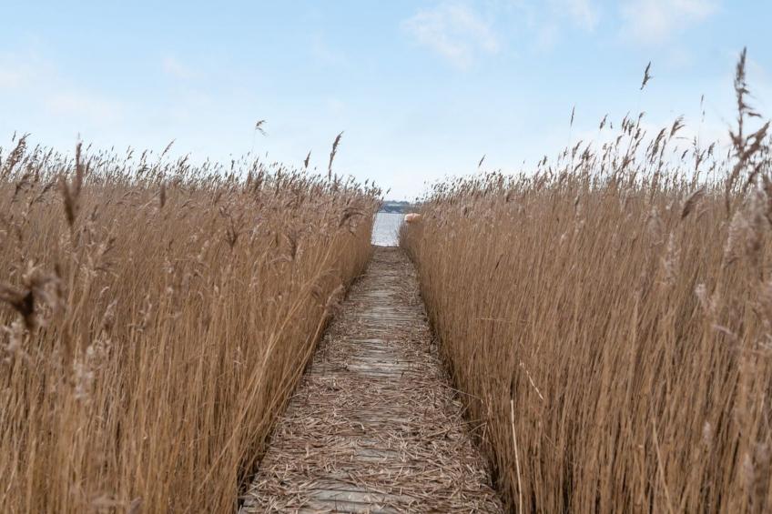 "Caren" - 125m to the inlet in Sealand - foto 19