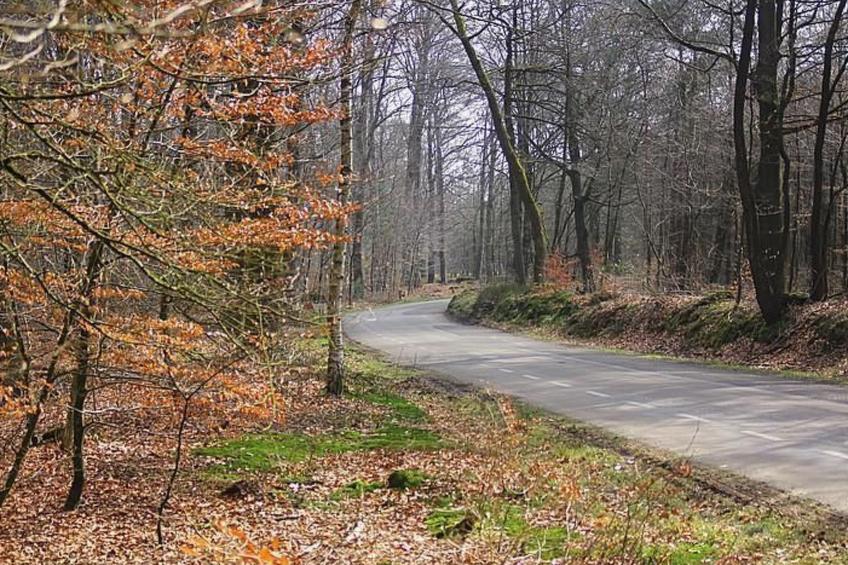 Anwesen "Oranjehorst" - foto 26