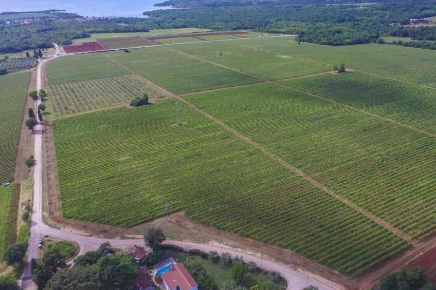 Villa mit Meerblick - foto 30