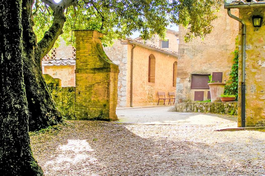 Il Pero di Cetinale - foto 26