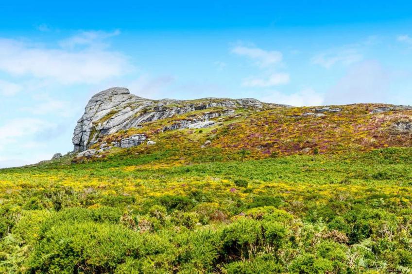 Little Dunley - Wisteria Cottage - foto 21