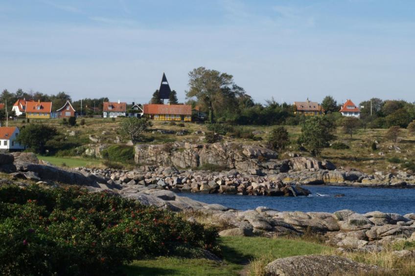 "Caranus" - 500m from the sea in Bornholm - foto 5