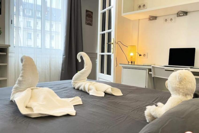 ✨ Le Palais Des Glaces - Hypercentre - Port - foto 15