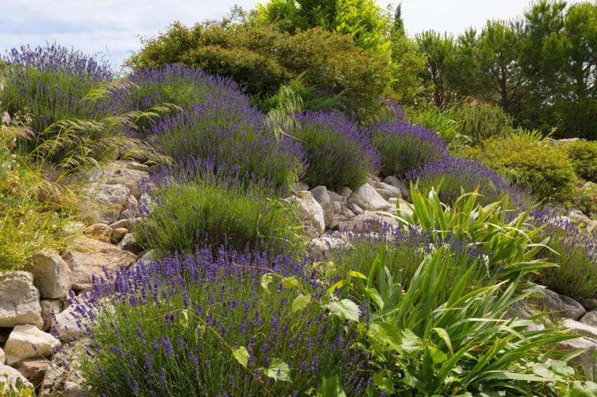 Villa Félines - foto 37