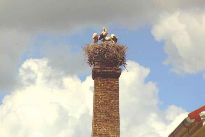 Appartement in Meiersberg mit Grill - foto 12