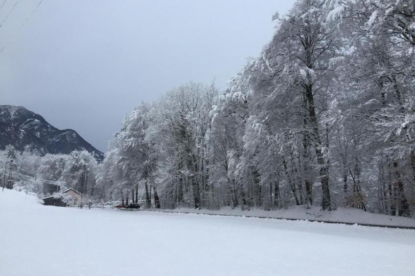 Rustico di vacanza nel nucleo di Moghegno - foto 38