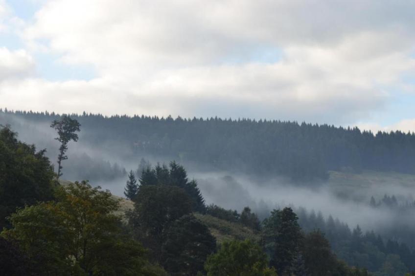 Ferienwohnung Stern - Harz Wildemann - foto 33